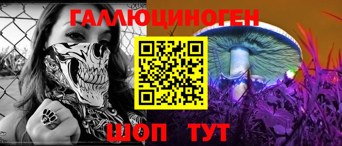 Псилоцибиновые грибы Psilocybine cubensis  Галлюциногенные грибы GOLDEN TEACHER  Бугуруслан  Вход с VPN 